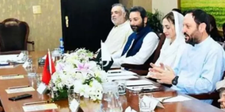 Pakistan, Morocco discuss visa facilitation, bilateral cooperation