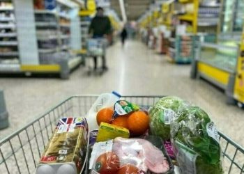 Prices of essential kitchen items remain stable