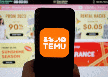 Temu-owner PDD tops quarterly revenue estimates, margin squeeze continues