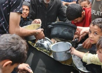UN declares famine in Gaza