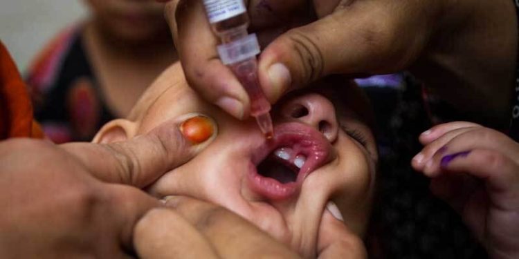 Fresh polio case in Khyber Pakhtunkhwa’s Tank takes nationwide tally to 24
