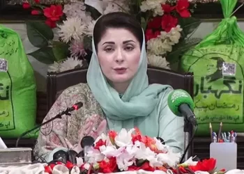 Punjab CM Maryam sets three-day deadline for declaring wheat stocks