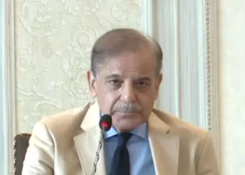 PM Shehbaz stresses need for roadmap to overcome climate change challenges