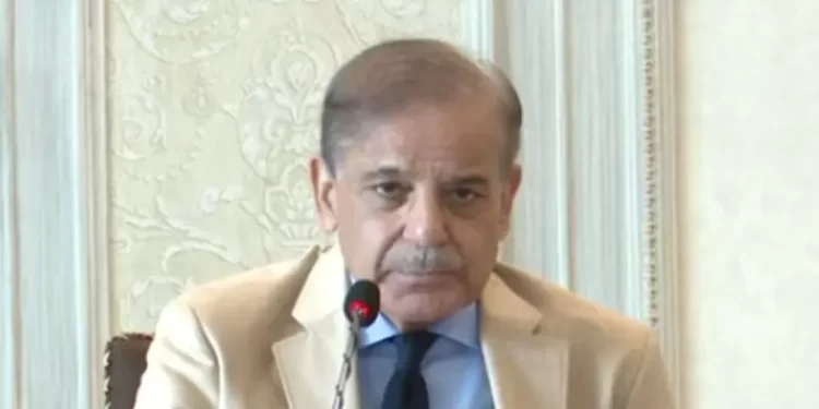 PM Shehbaz stresses need for roadmap to overcome climate change challenges
