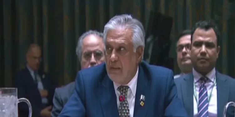 ‘Time for action is now,’ Dar tells UNSC, welcomes increasing recognition of Palestinian state