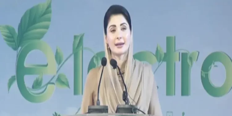 ‘It is Punjab’s water’: Maryam resurrects Cholistan canals issue amid rift with PPP