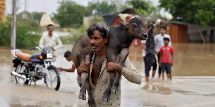 Above average rain in October likely to damage crops in India