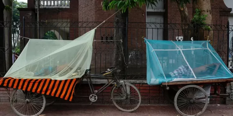 Bangladesh battles rising tide of dengue and chikungunya