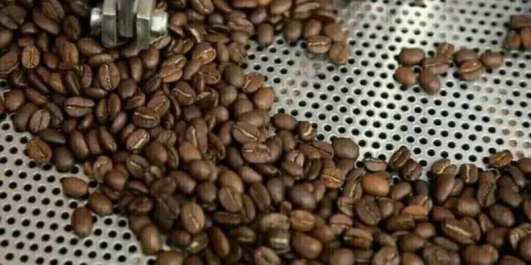 Cocoa slumps to two-month low, coffee and sugar rise