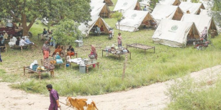 Dykes breached as Chenab, Ravi rivers hit critical levels