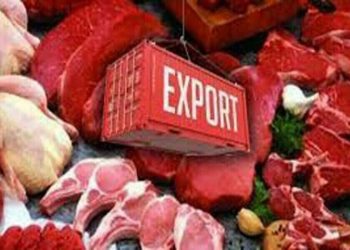 Experts urge curbs on Pakistan’s meat exports to stabilize domestic prices