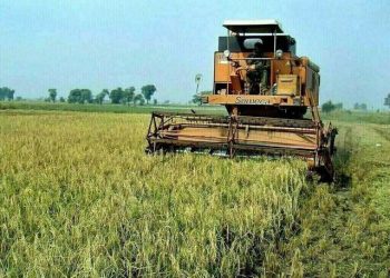 Experts urge innovation policy reforms for agriculture future