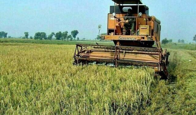 Experts urge innovation policy reforms for agriculture future