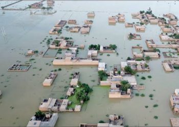 Floods Destroy 1.3 Million Acres of Farmland in Pakistan