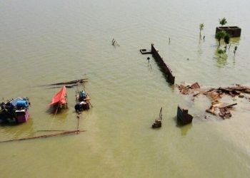 Floods in Sindh: Supply of food items, agri produce badly affected: HCSTSI