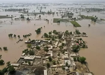 Floods ravage over 1.3mn acres of agricultural land in Punjab, says PBF