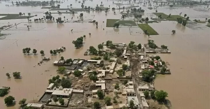 Floods ravage over 1.3mn acres of agricultural land in Punjab, says PBF