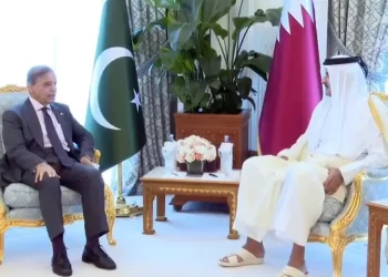 In meeting with Qatari emir, PM Shehbaz urges Muslim unity to confront Israeli provocations