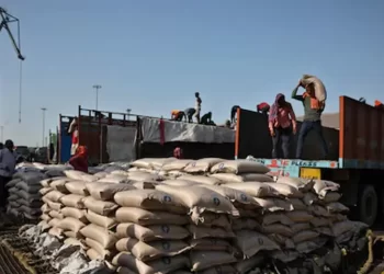 India poised to export sugar in new season due to ample stocks - Markets