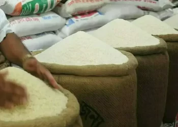 India’s rice stocks hit record, wheat at four-year high