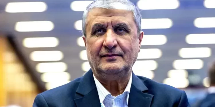 Iran’s nuclear chief in Moscow to sign power plants deal as UN ponders sanctions