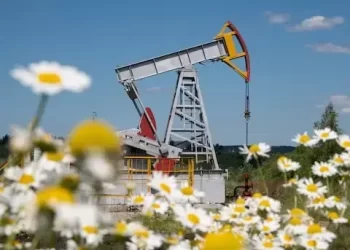 Oil gains as market weighs Russia supply risk, US rate decision