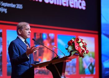 PM Shehbaz assures to remove all hiccups as Pakistan, China business firms sign $4.2bn pacts