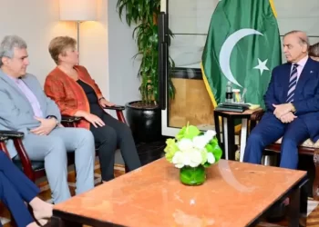 PM Shehbaz urges IMF to consider flood impact in next review of Pakistan’s economy
