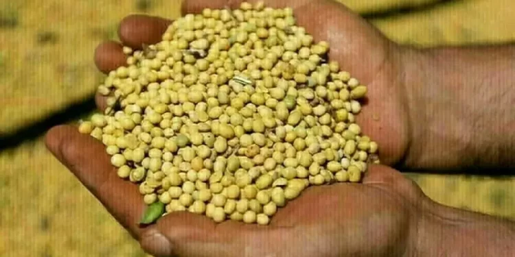 Pakistan bought about 180,000 tons soybeans in September, expected U.S. origin
