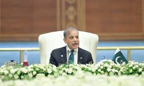 Pakistan respects sovereignty of all SCO members, its neighbours, says PM Shehbaz at China summit
