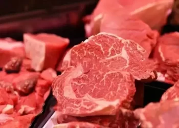 Pakistan’s TOMCL seals $8.1mn beef export deal with UAE’s Gold Crest Trading - Business & Finance