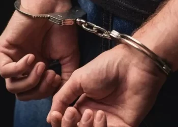 US immigration agents arrest hundreds at Hyundai plant, mostly Koreans