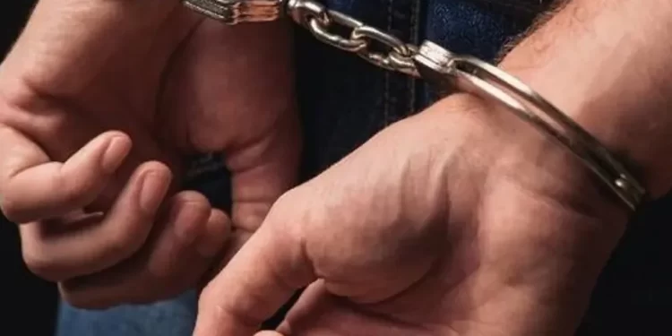 US immigration agents arrest hundreds at Hyundai plant, mostly Koreans