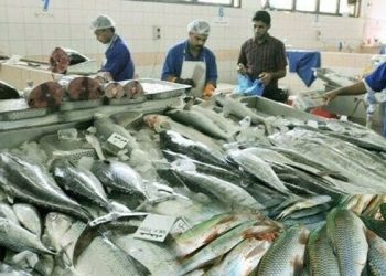 USD600m seafood exports eyed