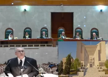 26th Amendment case: Justice Shahid Hassan says ignoring Article 191A akin to granting final relief