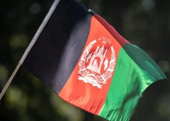 Afghanistan pulls out of upcoming tri-nation series amid ongoing hostilities