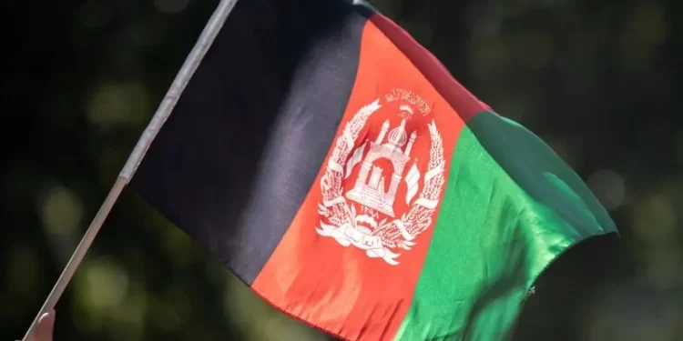 Afghanistan pulls out of upcoming tri-nation series amid ongoing hostilities