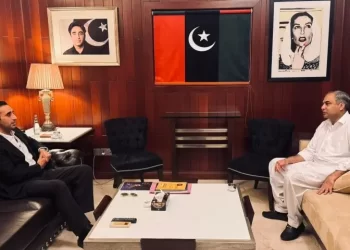 Bilawal, Naqvi stress need for internal stability and unity to tackle current challenges