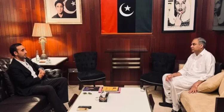 Bilawal, Naqvi stress need for internal stability and unity to tackle current challenges