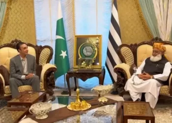 Bilawal meets JUI-F chief Fazl, discusses country’s political situation