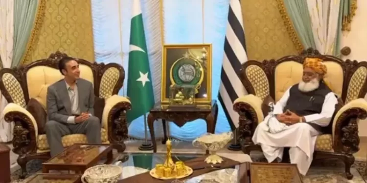 Bilawal meets JUI-F chief Fazl, discusses country’s political situation