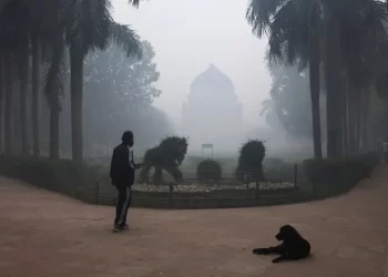Delhi air quality at ‘hazardous’ levels after Diwali fireworks