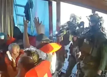 Engaged with international partners for safety, prompt repatriation of citizens detained during Gaza flotilla raid: FO