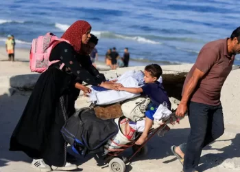 Gazans stream back home as Israel-Hamas ceasefire holds