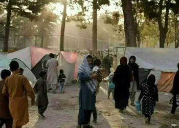 Germany close to deal with Taliban on Afghan deportations: govt