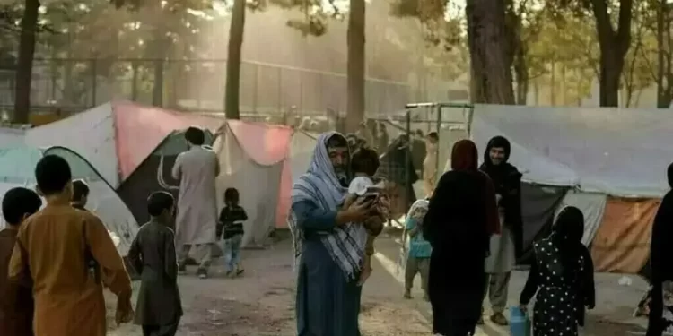 Germany close to deal with Taliban on Afghan deportations: govt