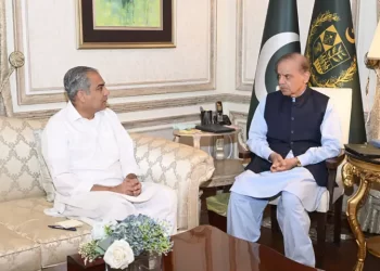 Interior minister briefs PM Shehbaz on law and order situation