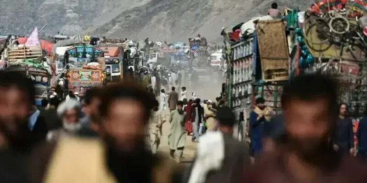 More than 1.4m Afghans repatriated, no further extension by govt