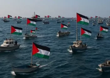 Over 45 Turkish Civilian Ships Head toward Gaza Following Israeli Interception of Global Sumud Flotilla