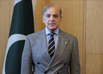 Pakistan Stands by ‘Pre-1967’ Borders for Palestine, PM Shehbaz Sharif